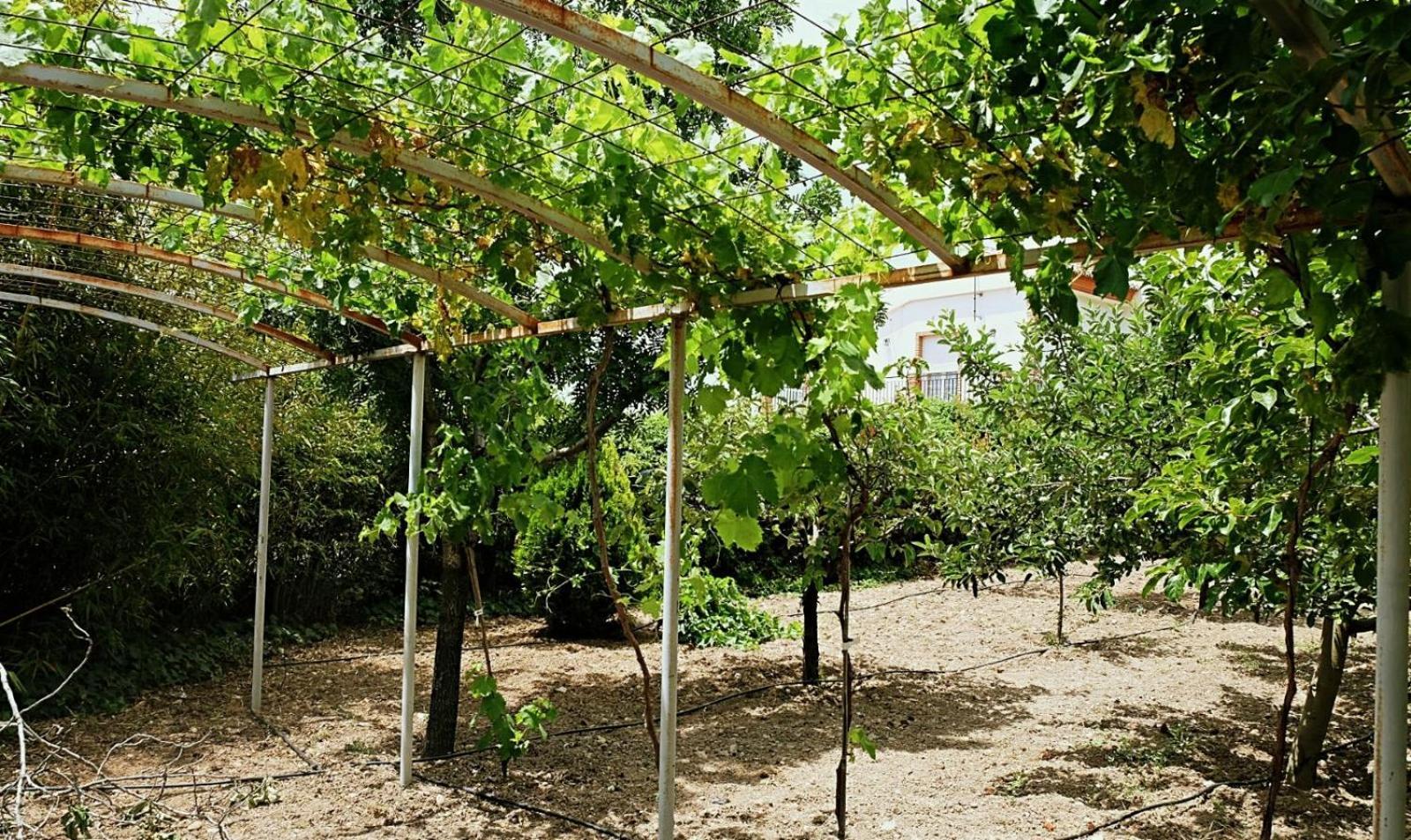 Casa Los Rosales Alfacar Buitenkant foto
