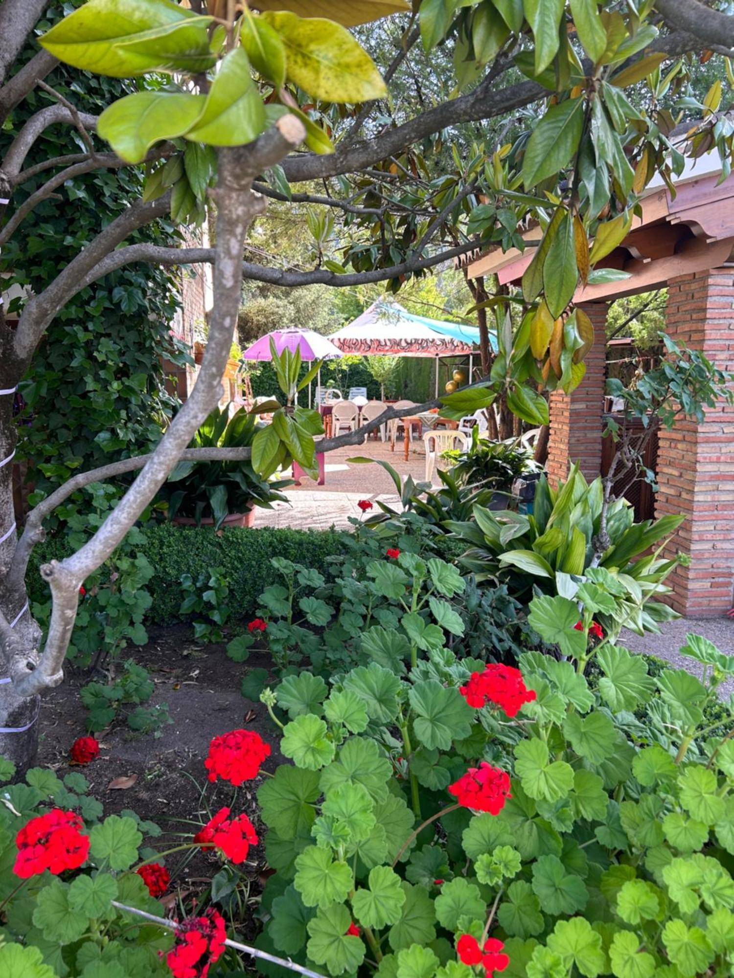 Casa Los Rosales Alfacar Buitenkant foto